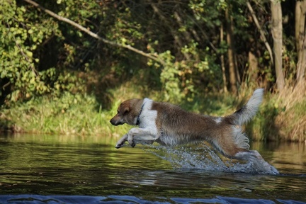 DSC06485