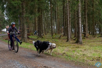 IMG 9965 DxO